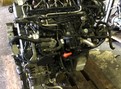 Двигатель для Audi A1 Skoda Rapid Octavia Yeti VW Caddy Golf Passat 1.6 TDI
