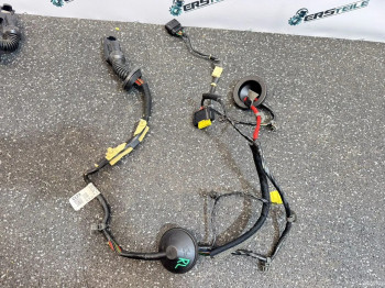Проводка двери задней Hyundai Santa Fe 4 2020