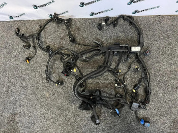 Проводка двигателя BMW 5 G30 520dx