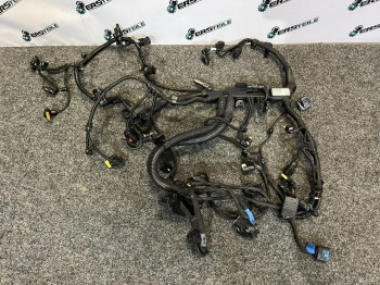 Проводка двигателя BMW 5 G30 520dx