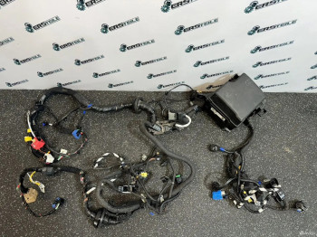 Проводка подкапотная Hyundai Santa Fe 4 TM 2020